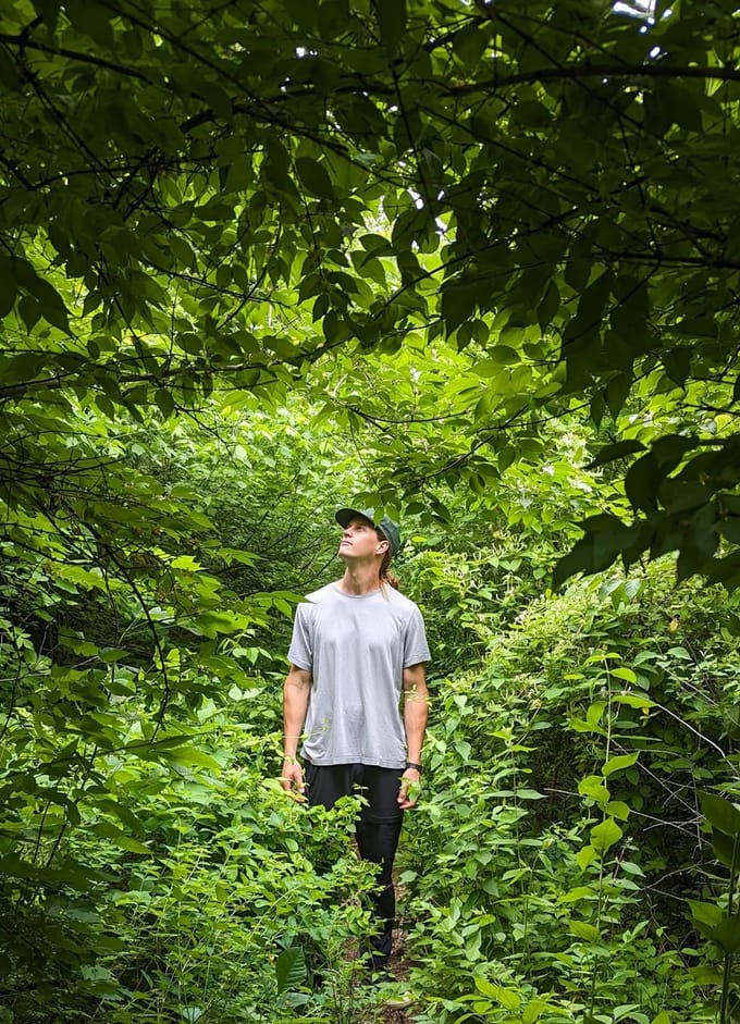New Nature's owner standing in a dense green woodland, looking up into the tree canopy