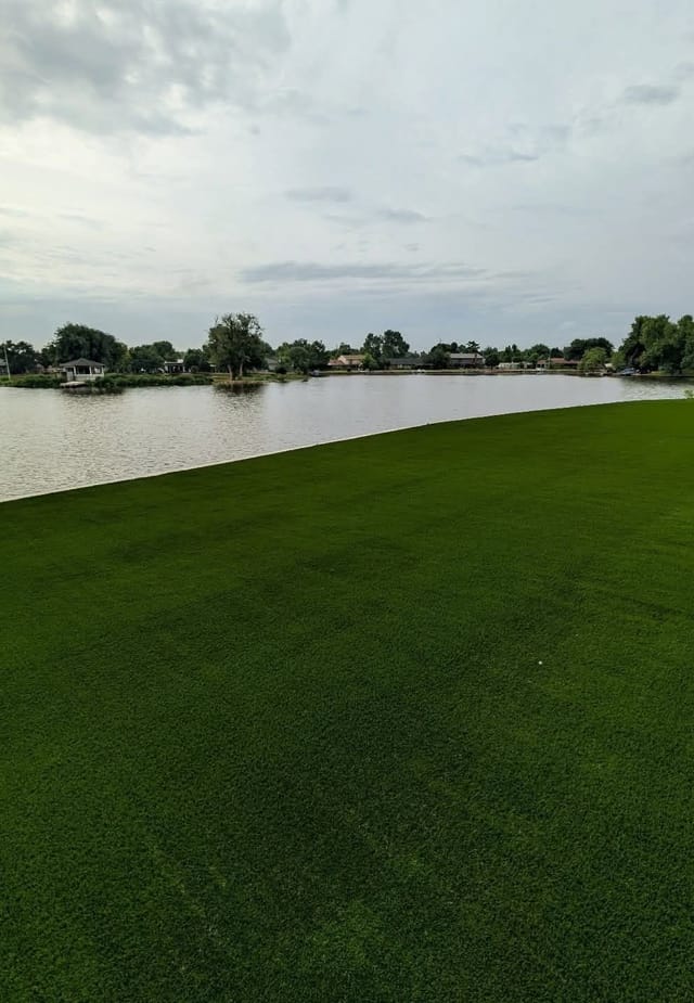 Artificial turf lawn installed along the edge of a lake, with homes on the far shore
